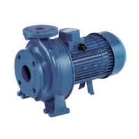Pompa Centrifuga Normalizzata 3D/I 40-160/4.0 5,00hp