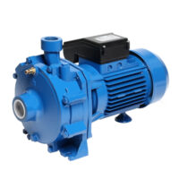 Pompa Ebara CDA 0.75 T Doppia Girante 0.75hp