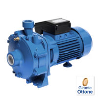 Pompa Ebara CDA/E 2.00 M Doppia Girante 2,00hp