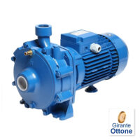 Pompa Ebara CDA/I 4.00 T IE3 Doppia Girante 4,00hp