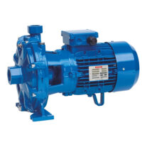Pompa Speroni 2CM 25/160BA Centrifuga 2,50hp