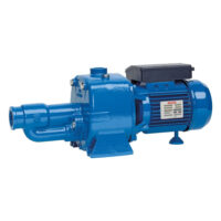 Pompa Speroni CAM 200 Autoadescante 2,00hp