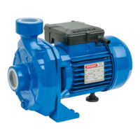 Pompa Speroni GAM 100 centrifuga 1,00hp